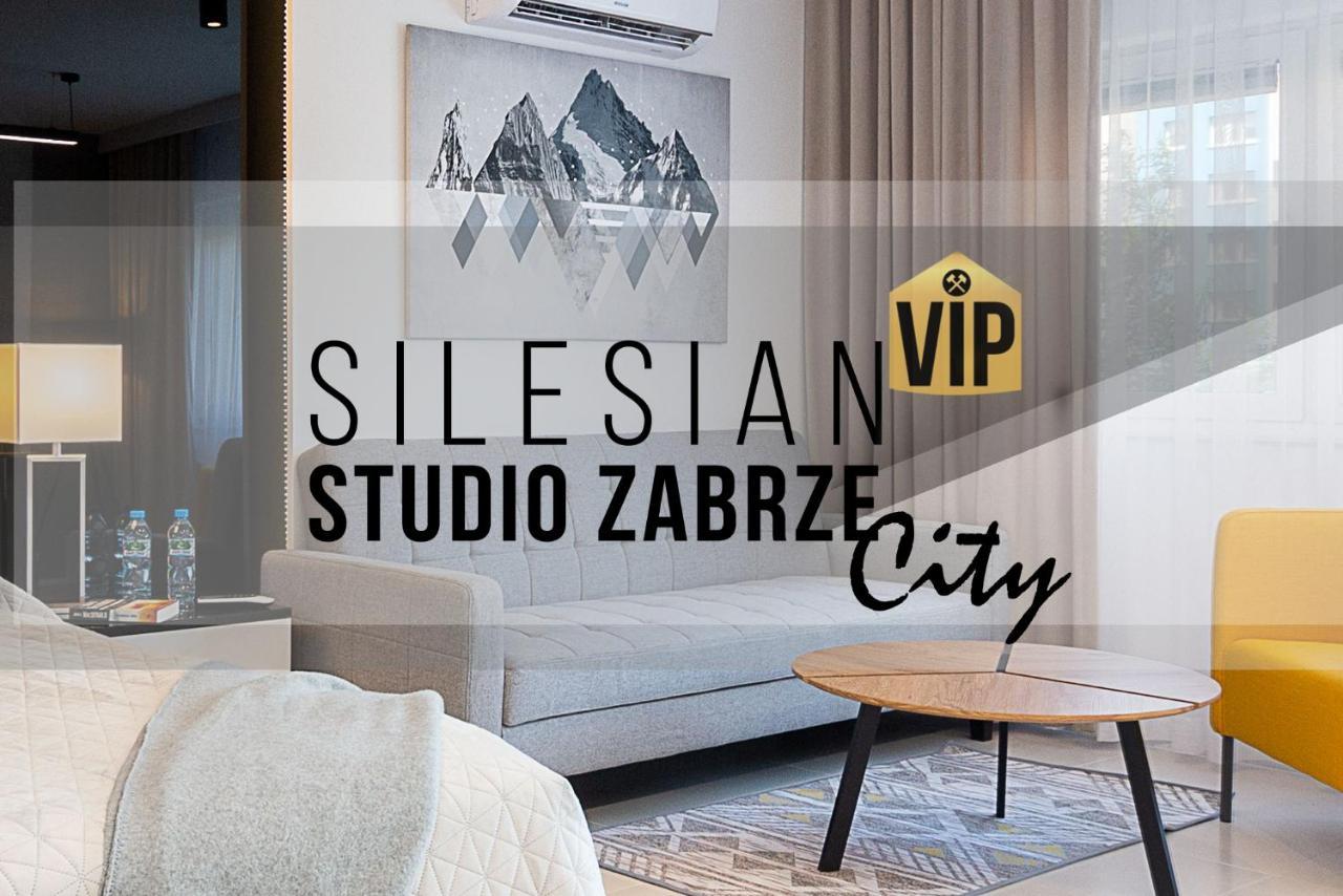 Studio Silesian Vip City Centrum Free Parking Zabrze Ngoại thất bức ảnh